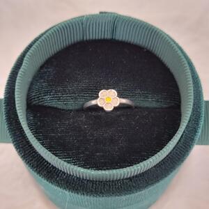 Aranys Dětský stříbrný prsten s motivem sedmikrásky Daisy, 45 05746